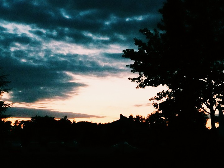 nature.