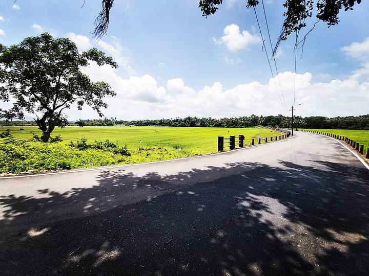 road landscape