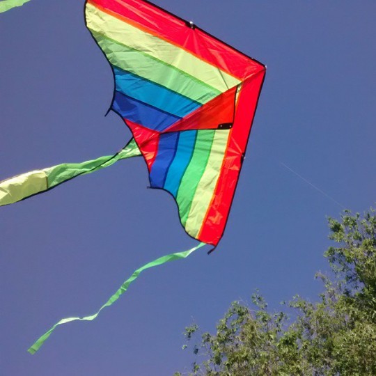 fly