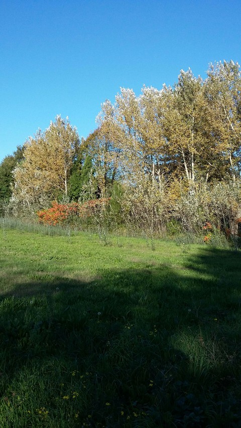 vive la campagne