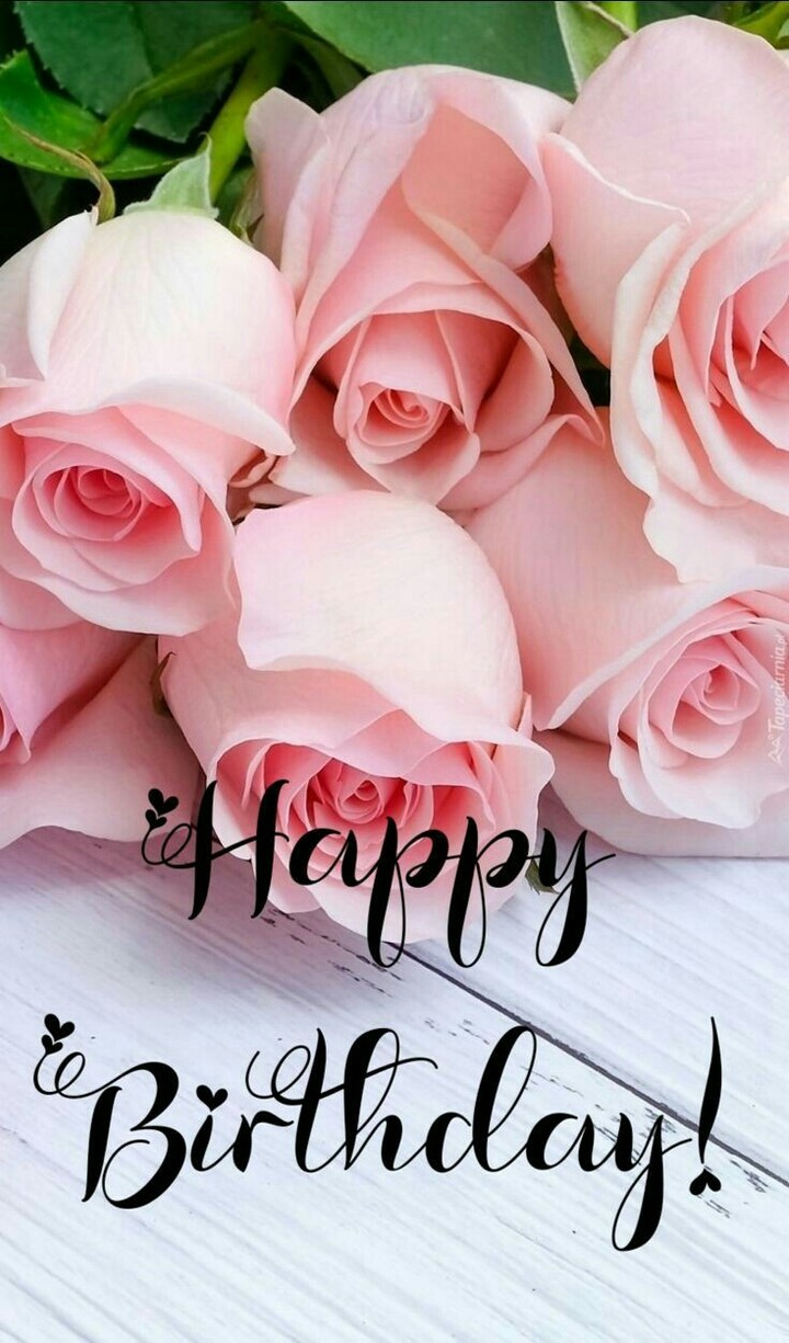 Birthday Wishes to you Elnaz