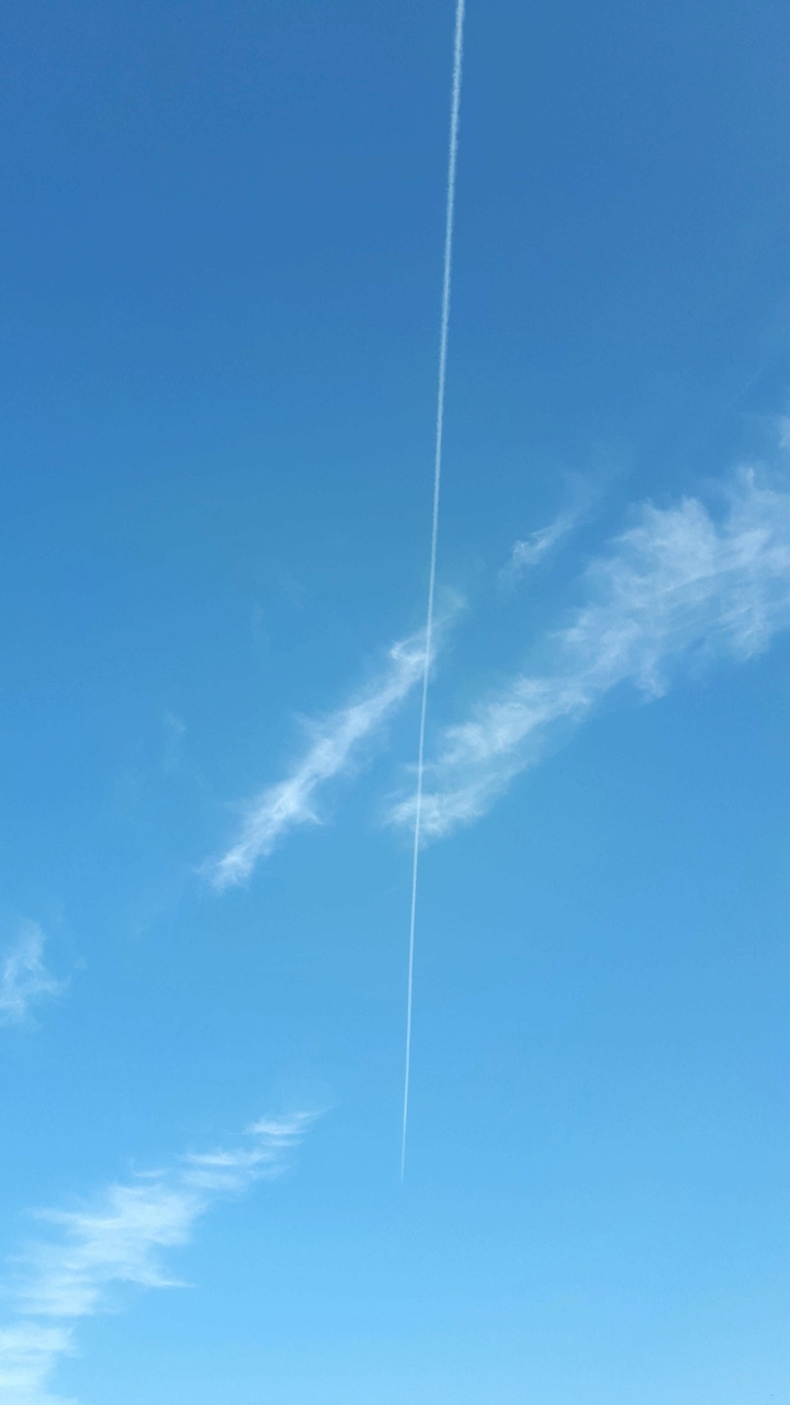 A plane in the sky
