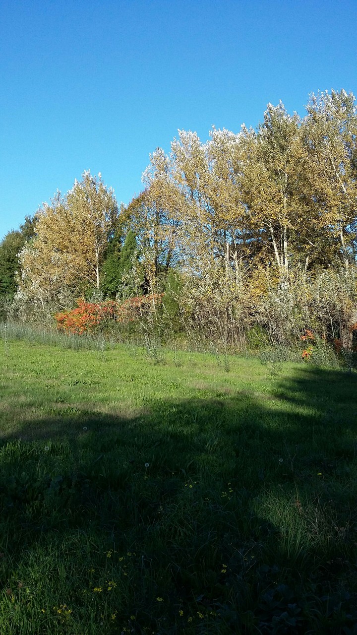 vive la campagne