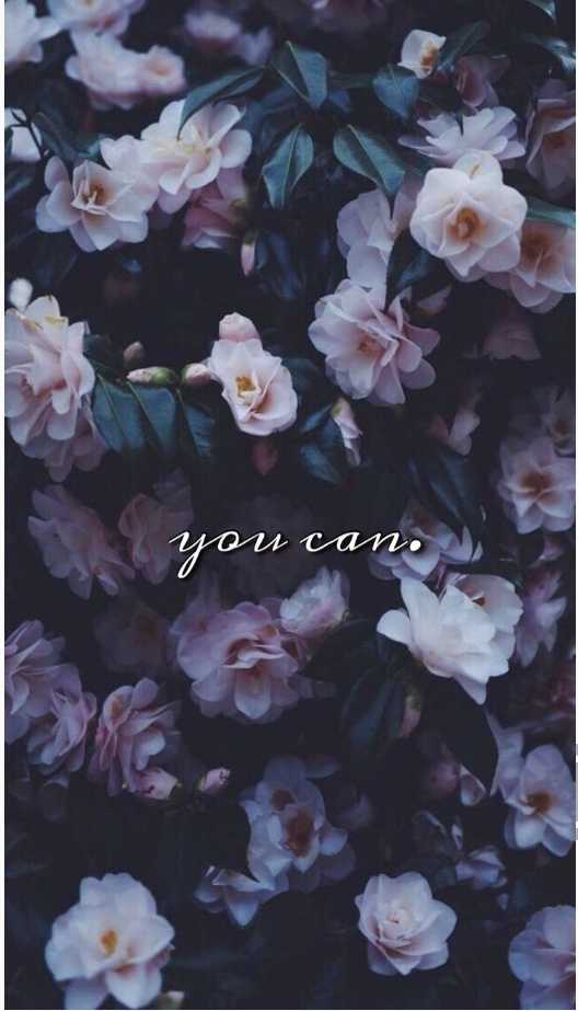 you can