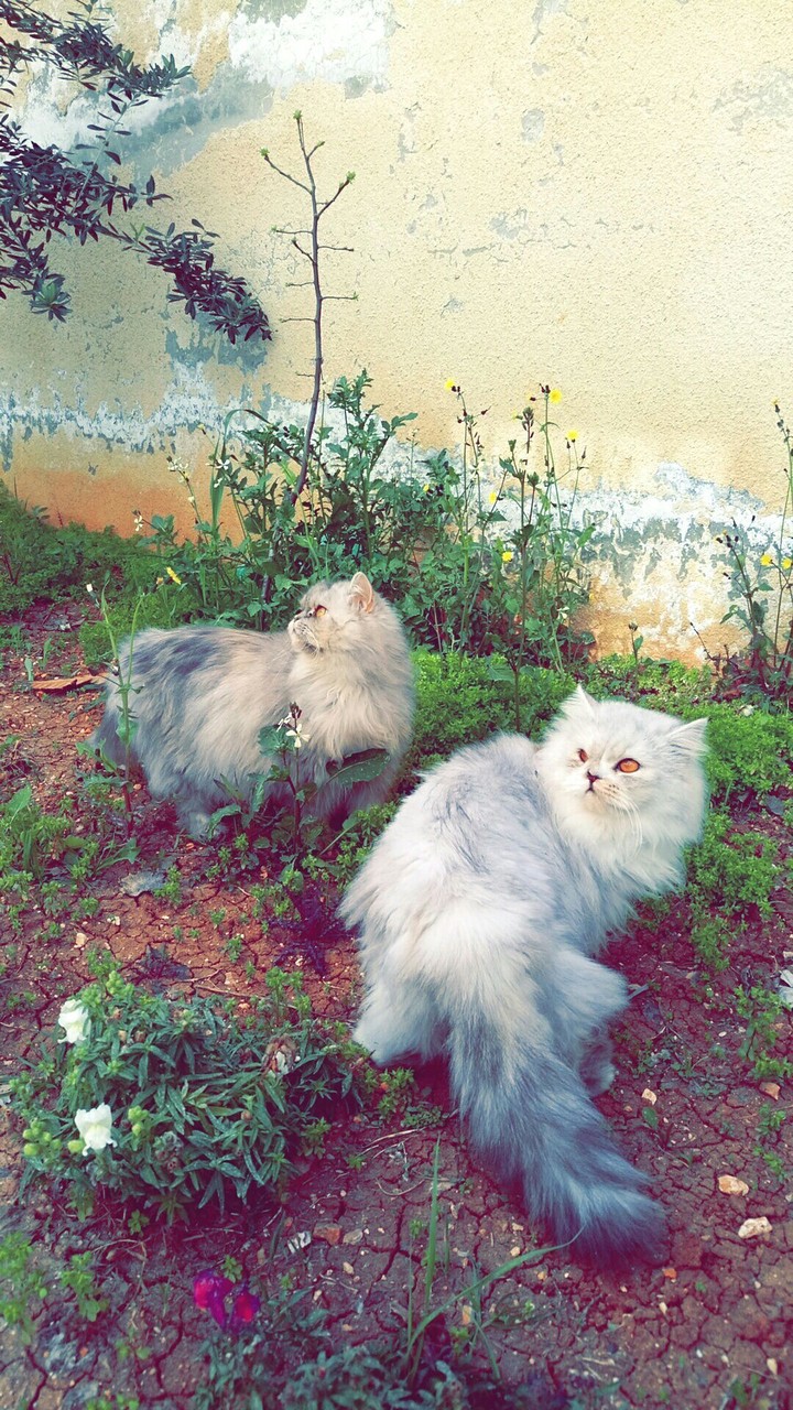 looking for something 