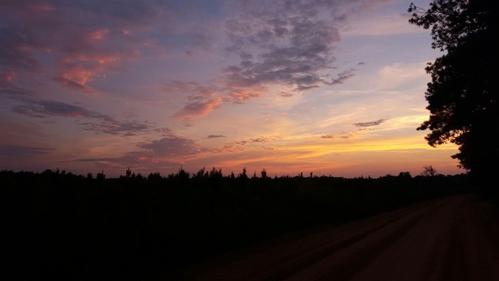 Dirt Road Sunset