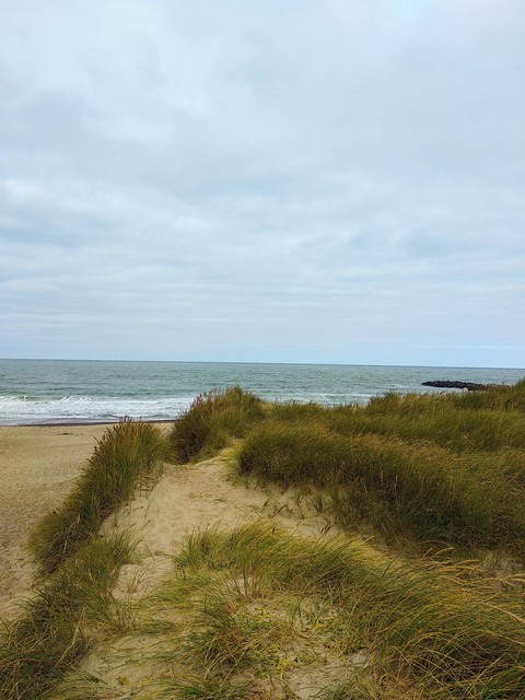 Meer