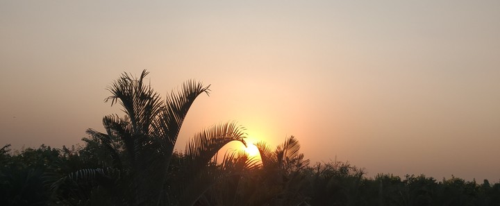 sun set