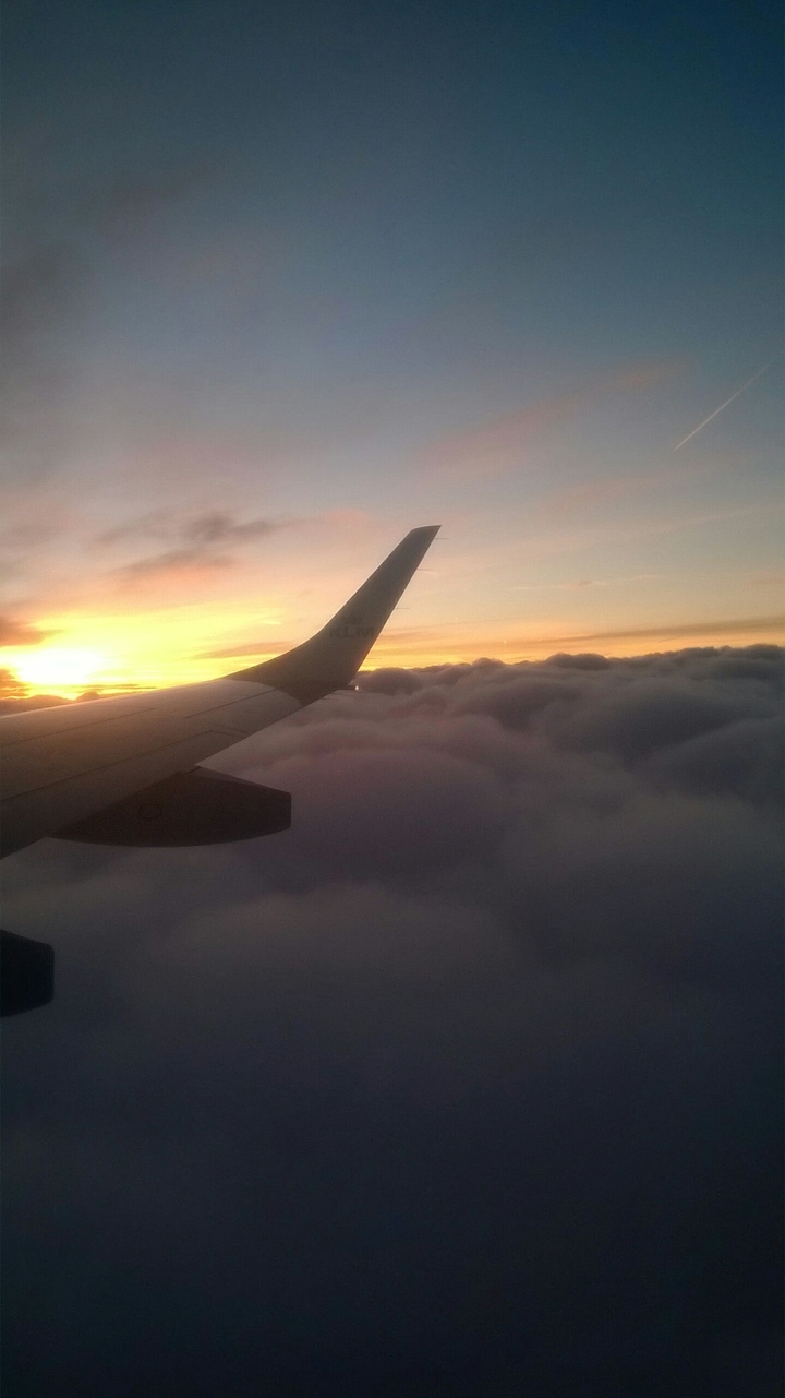 fly