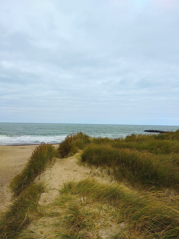 Meer