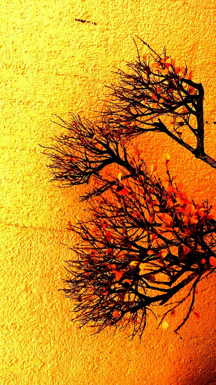 AutumnTime
