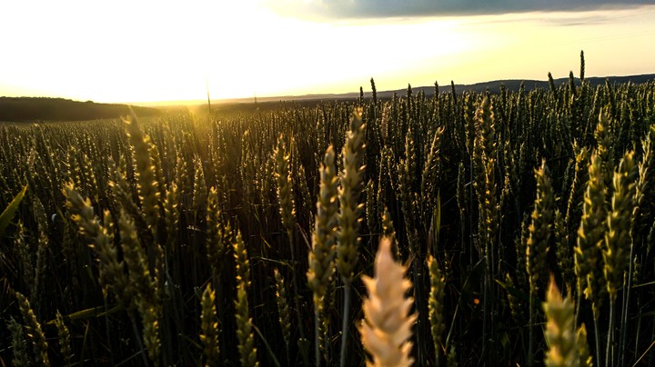Sunset in village
