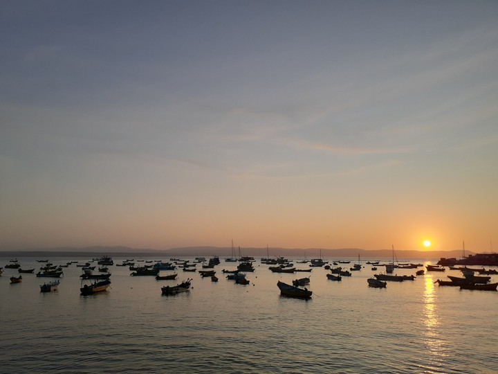 botes