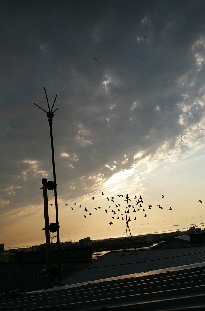 sunset