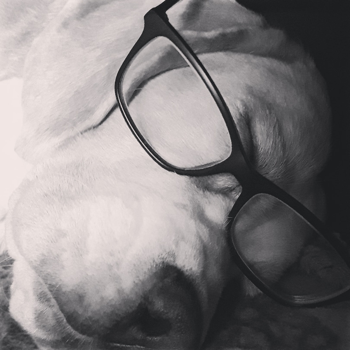 Snoopy