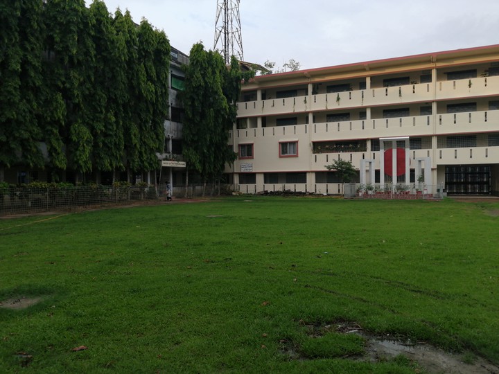 my college