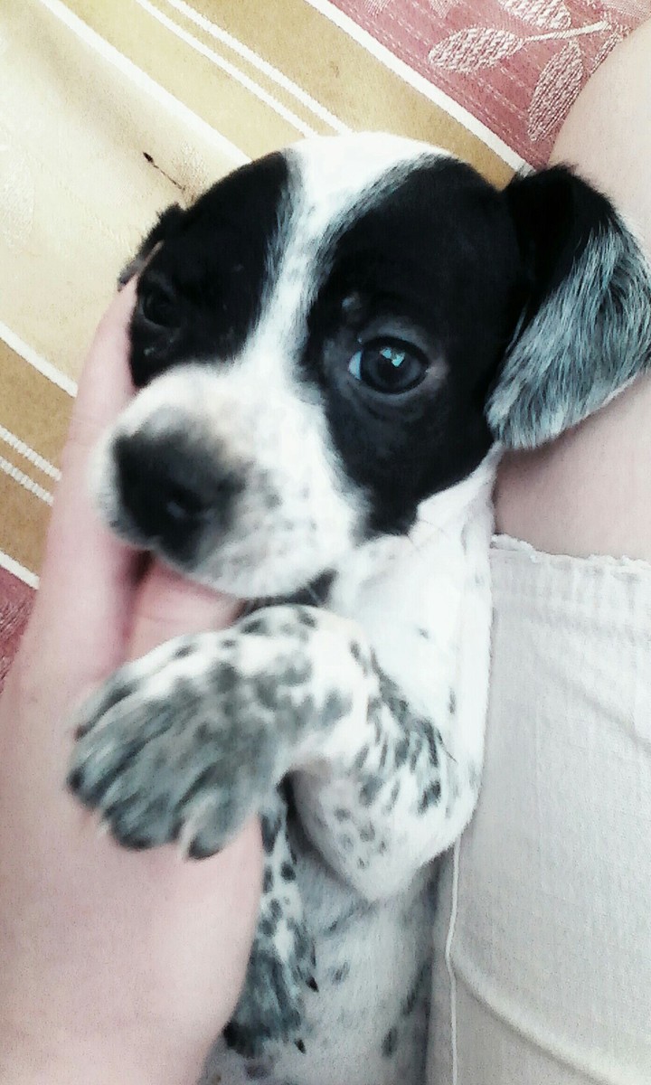 My Zak