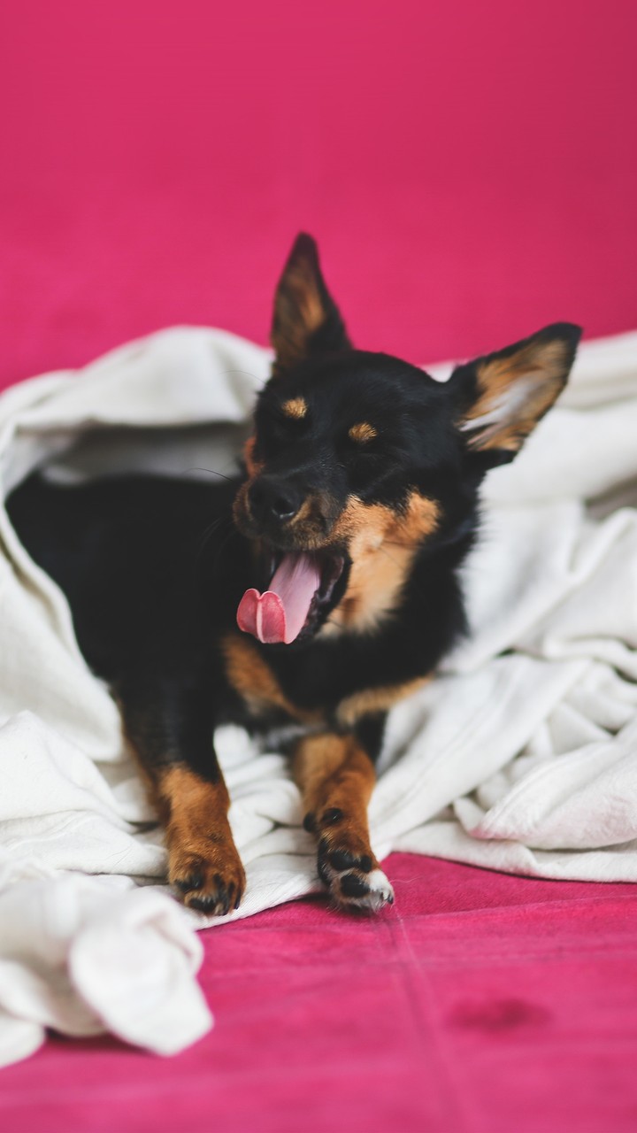 :)))