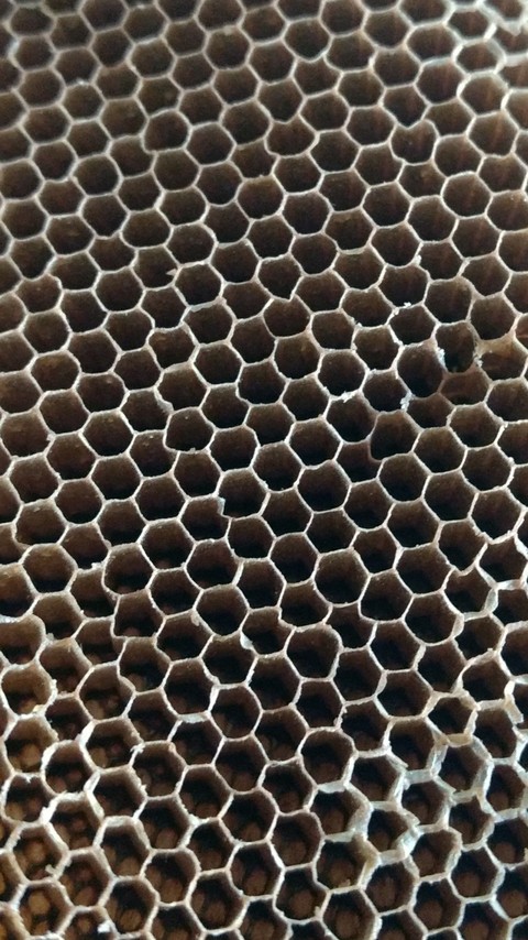 BEE HIVE
