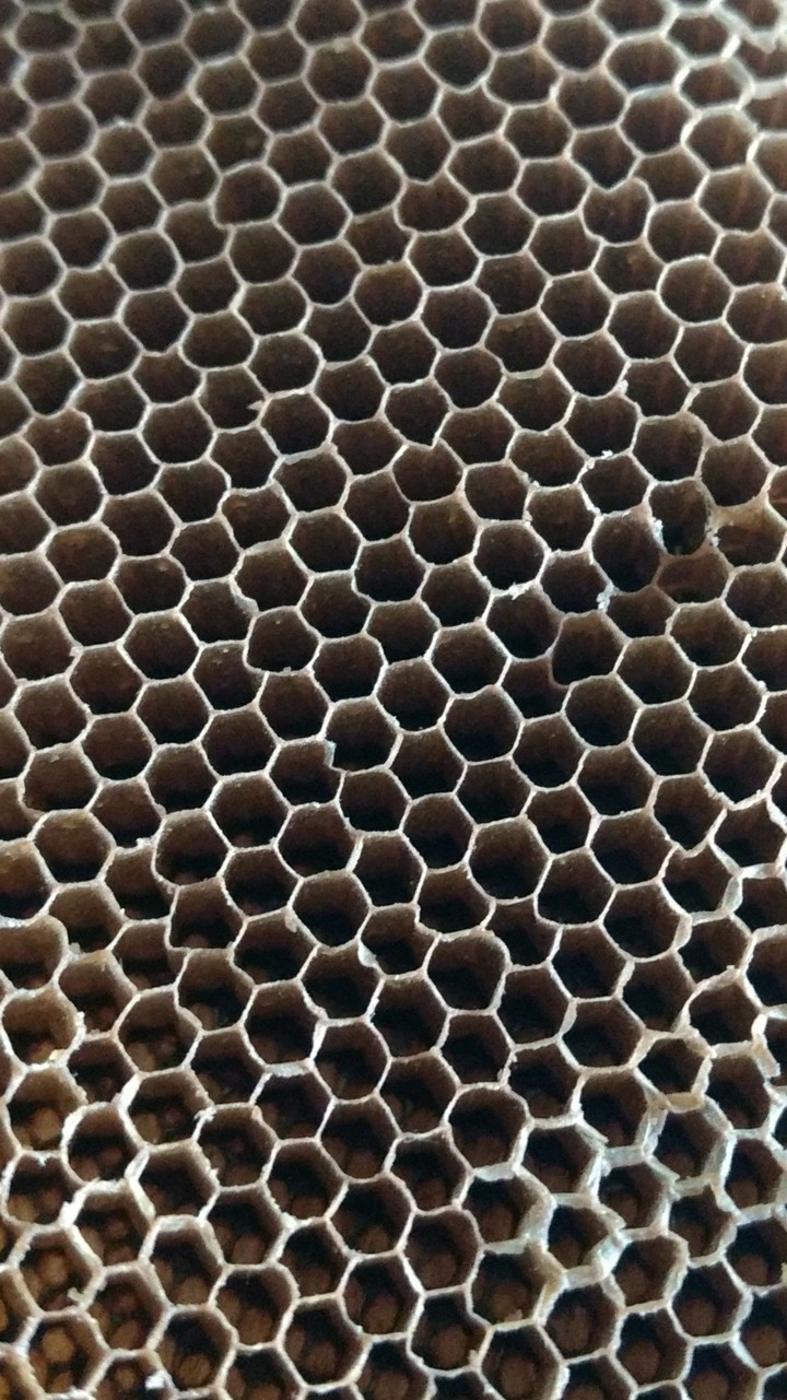 BEE HIVE