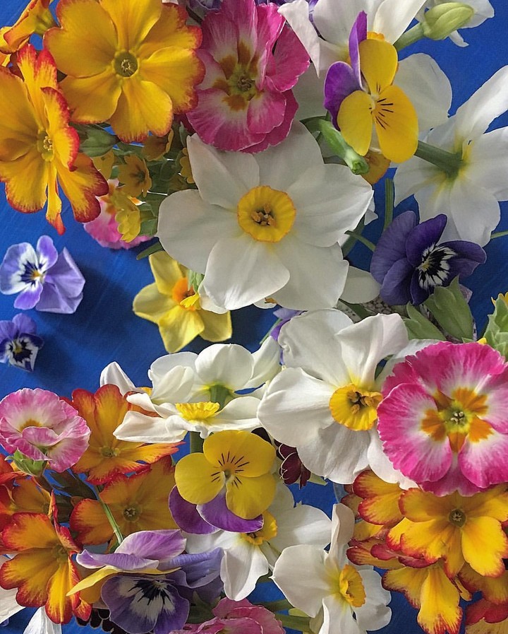 spring