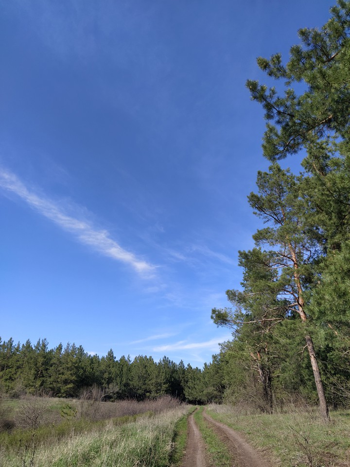 nature