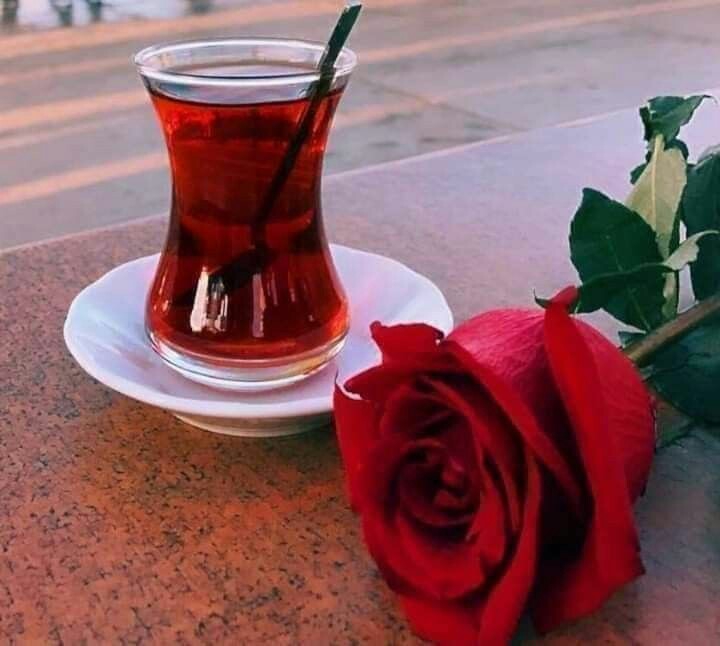 Good morning