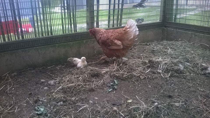 eine kleine Familie