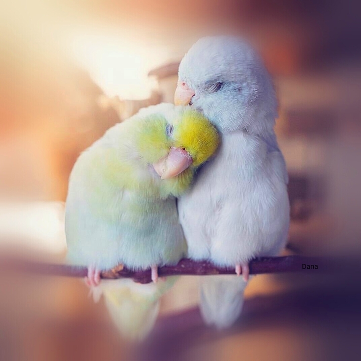 ❤️love