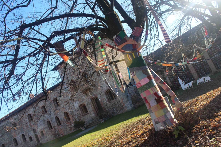 alberi ricoperti di lana