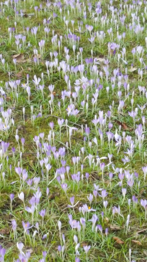 Endlich Frühling