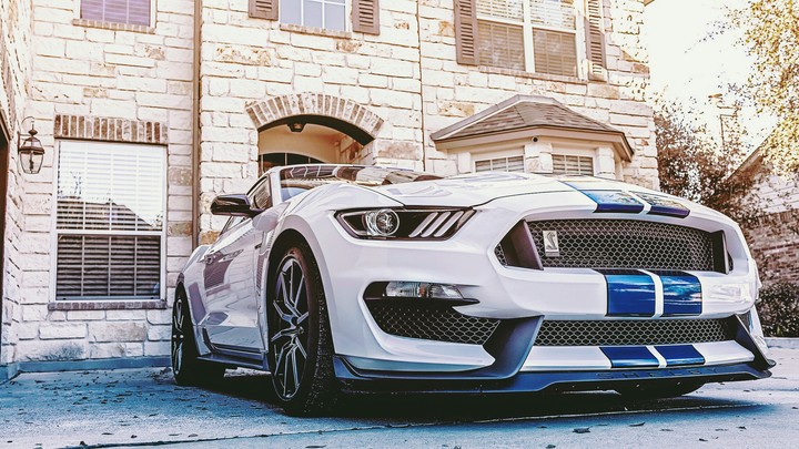mustang