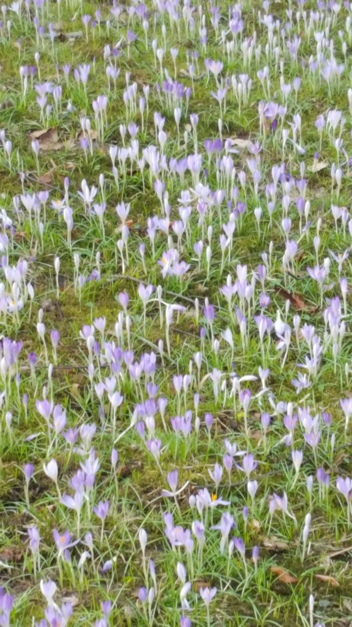 Endlich Frühling