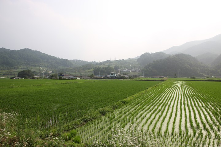 Scenics