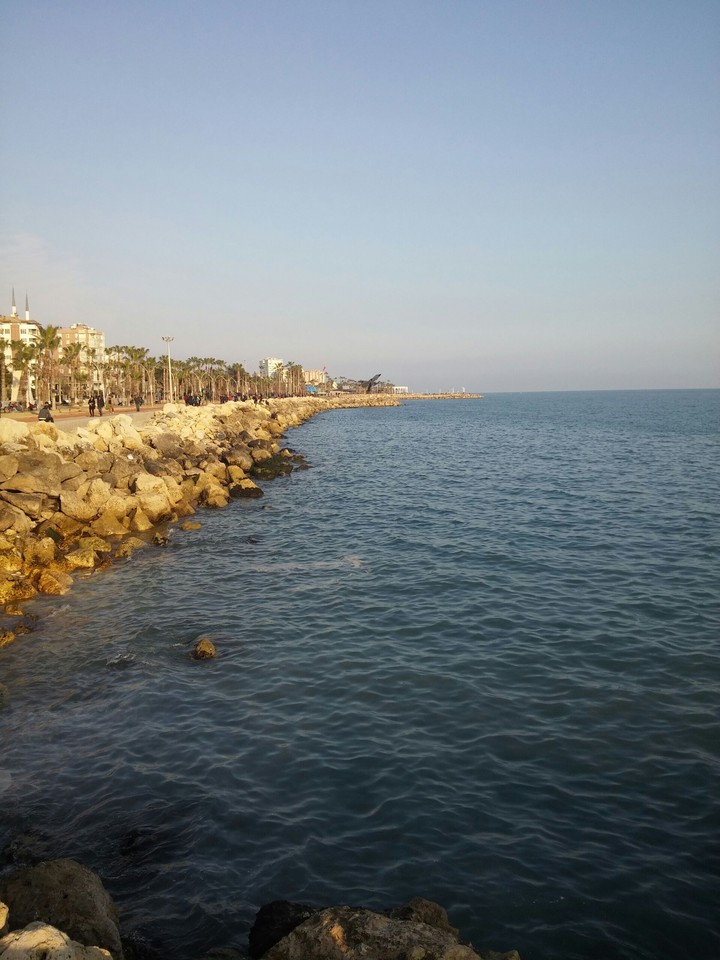 #Sea