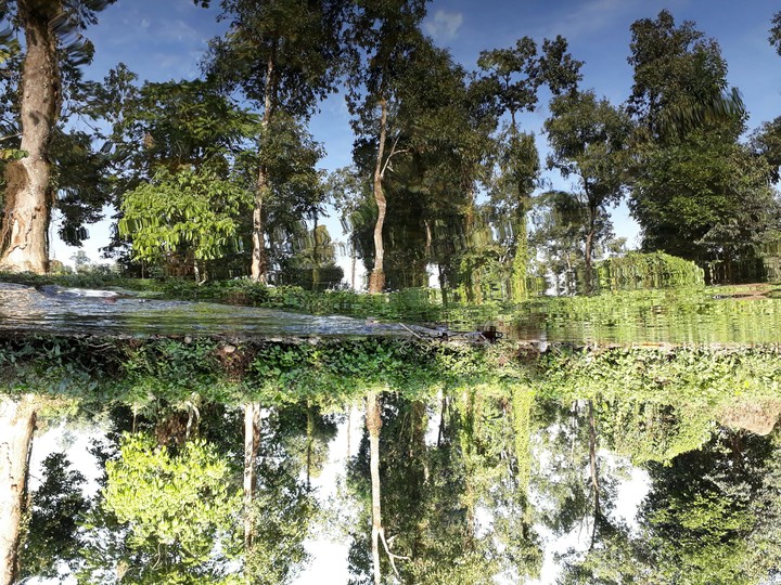 Illusion