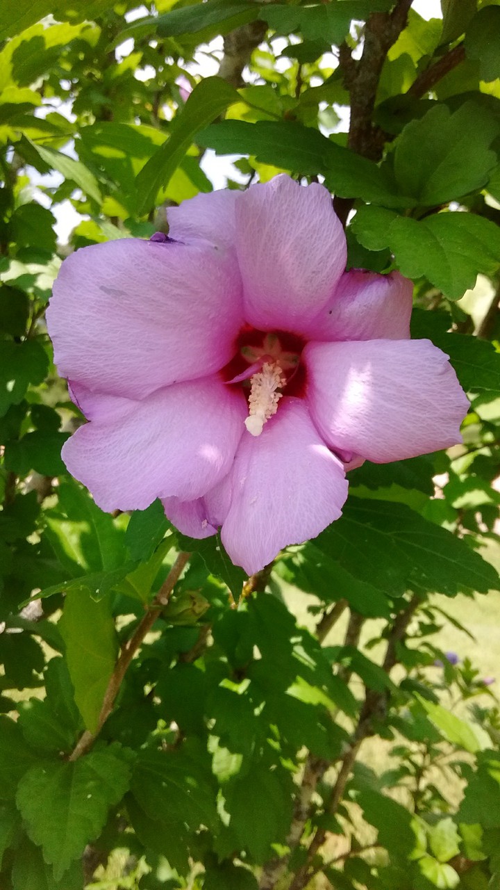 God's Beauty