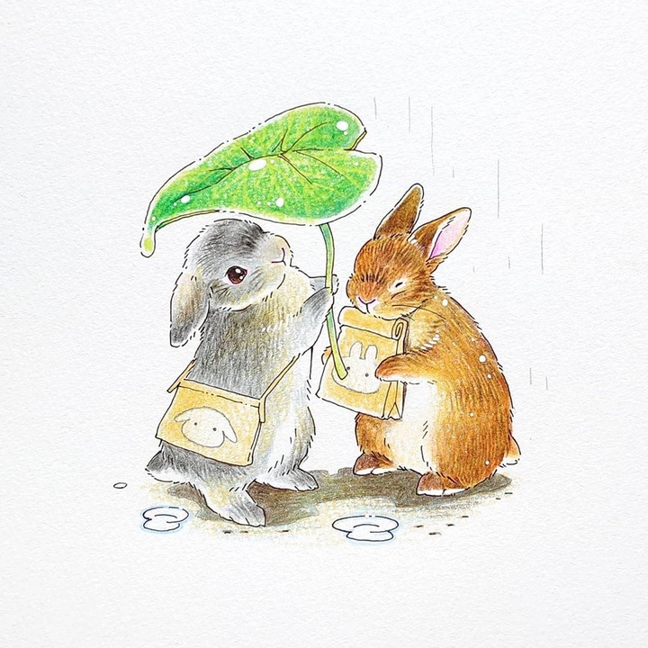 bunnies