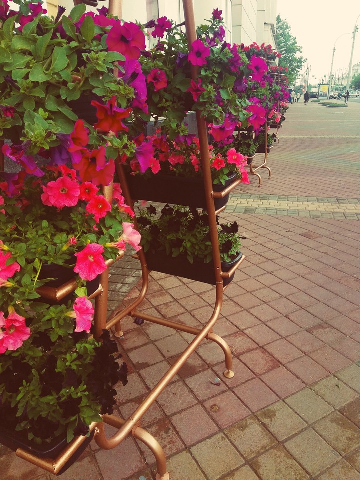 vitebsk