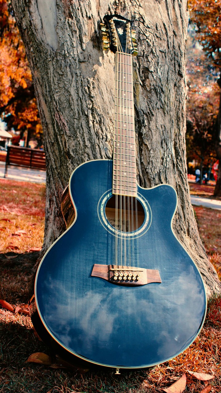 gitar