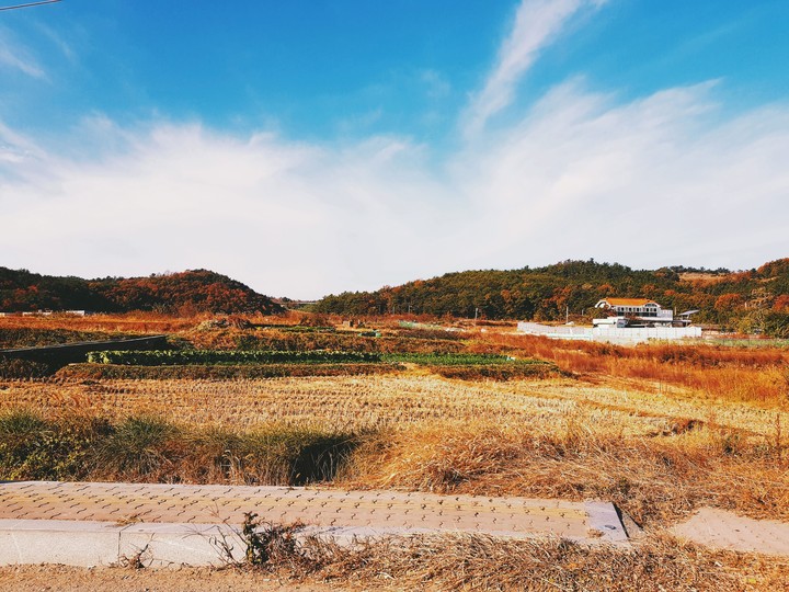 Country