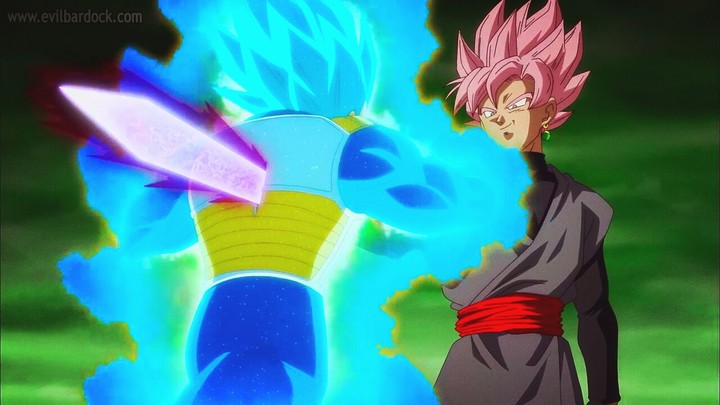 Vegeta and Goku Black