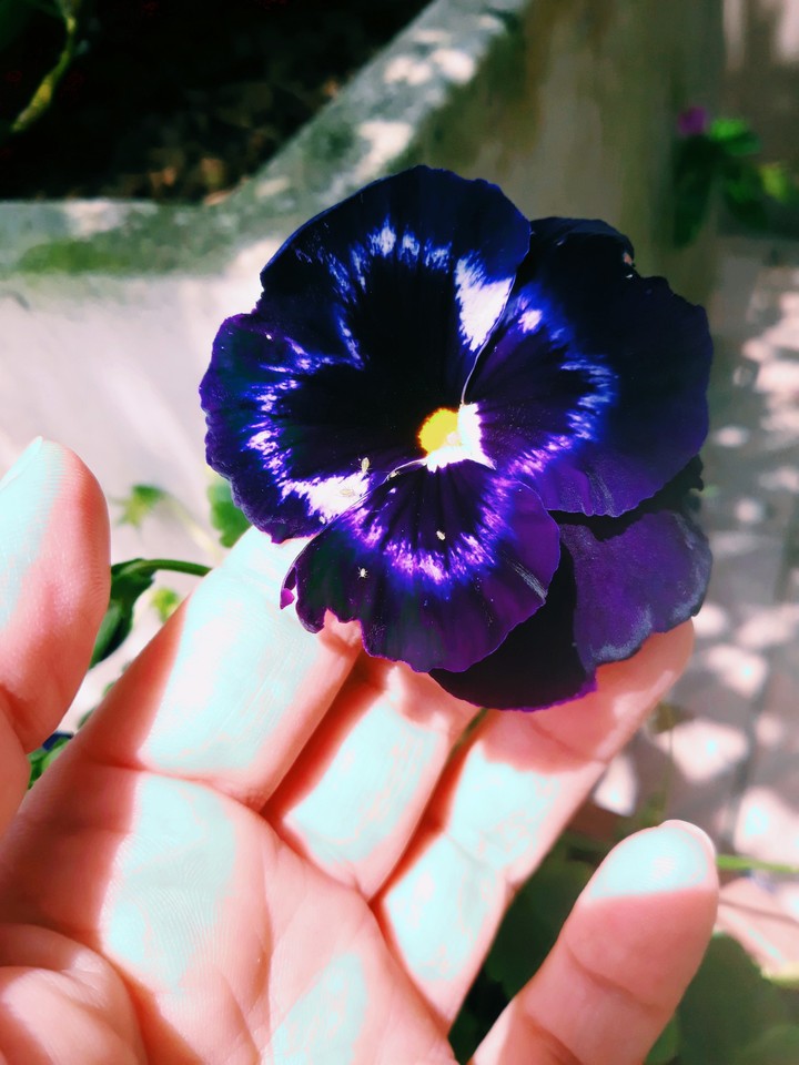 ☆