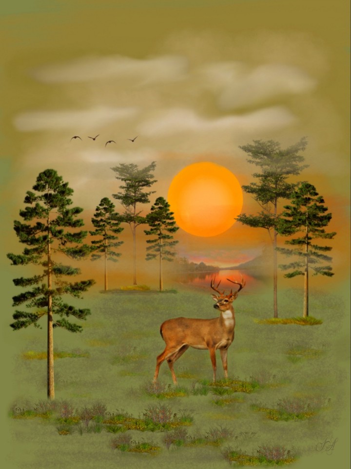 #irada_art