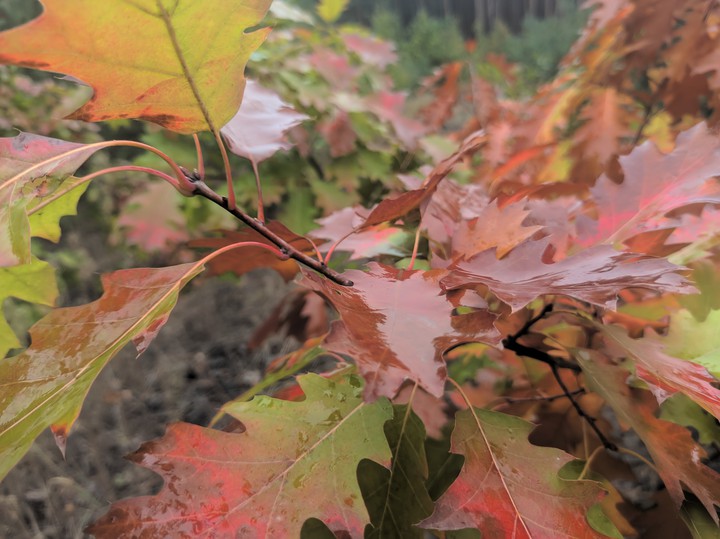 #Україна #осінь #autumn