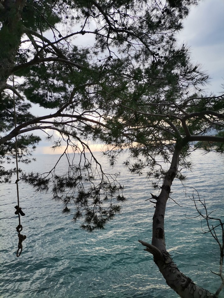 Croatia❤️??