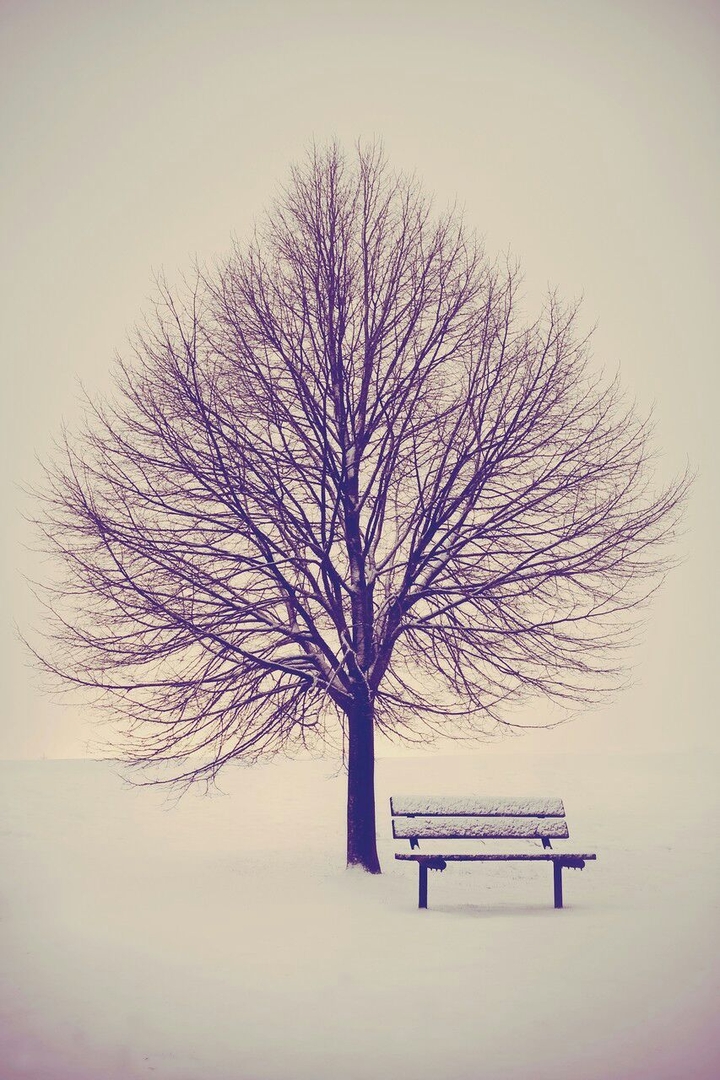 Árbol