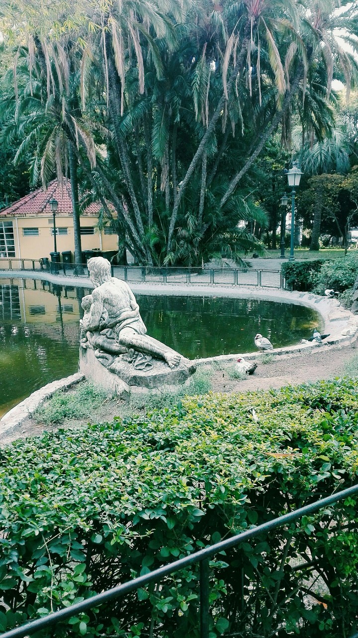 Estrela