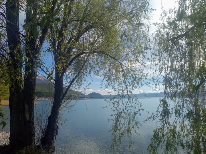 Pestani
