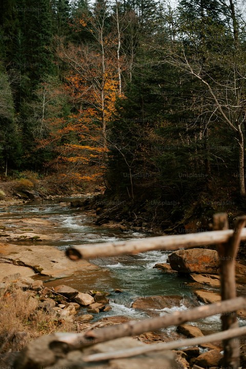 tapety forest, Rock